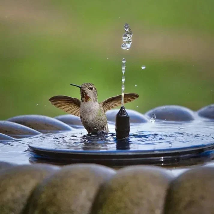 🔥Solárne fontány s vtákmi🐦️