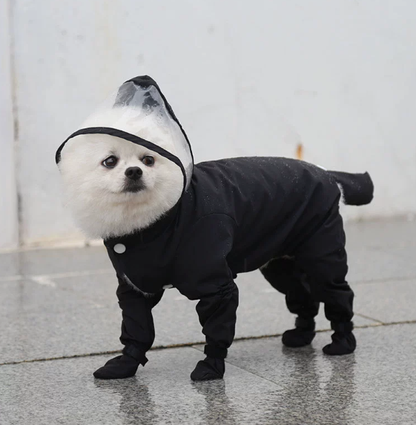 🌧️Nevyhnutná výbava pre malých psov v daždivých dňoch ｜Reflexný a nepremokavý pršiplášť pre domáce zvieratá✨