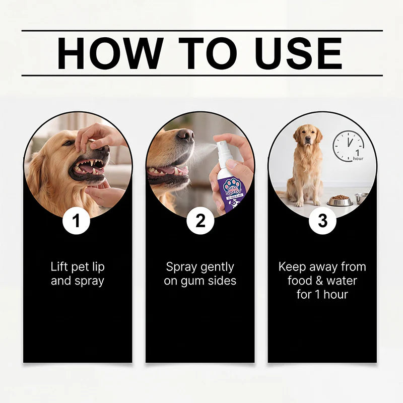✨Refreshing breath spray for cats and dogs｜Eliminates odors and promotes oral hygiene🐶🐱