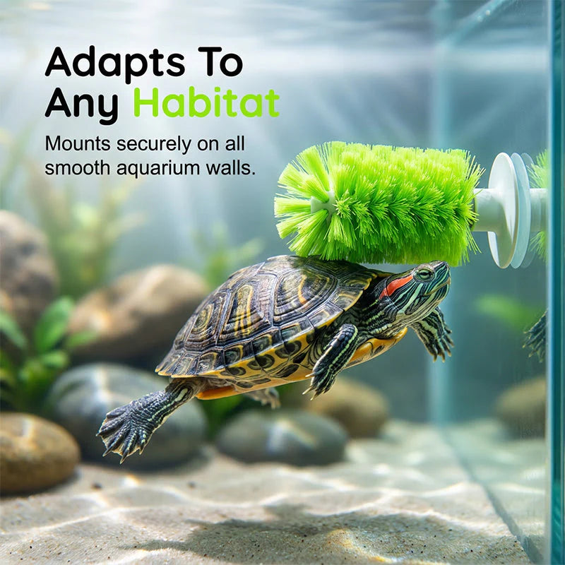 🐢🧼 Kefa na čistenie panciera korytnačiek – vhodná do akvárií ✨