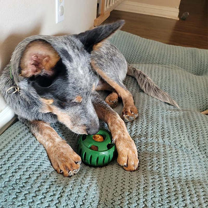 🐶 Hračka pre psov s dávkovačom pamlskov a formičkou s podnosom 🐕💕