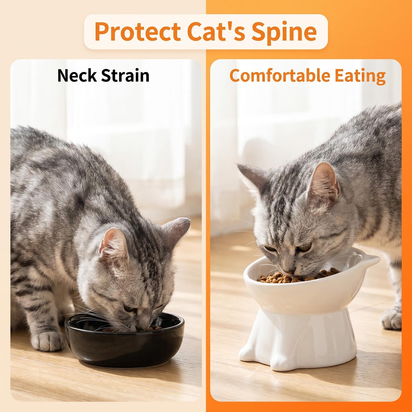 🥣Ergonomická plastová miska pre mačky s vyvýšeným okrajom🐱
