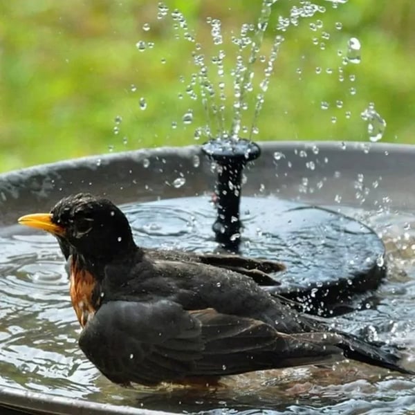 🔥Solárne fontány s vtákmi🐦️