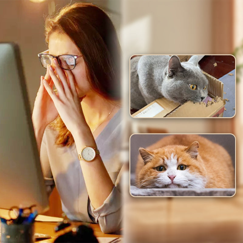 🐱Interaktívna loptička pre mačky s pružinou
