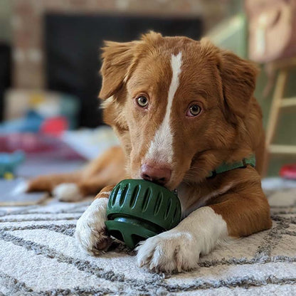 🐶 Hračka pre psov s dávkovačom pamlskov a formičkou s podnosom 🐕💕