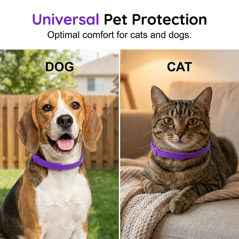 🐱🐶 Prírodný upokojujúci obojok | 60-dňová dlhotrvajúca úľava pre vášho úzkostlivého domáceho maznáčika 🌿
