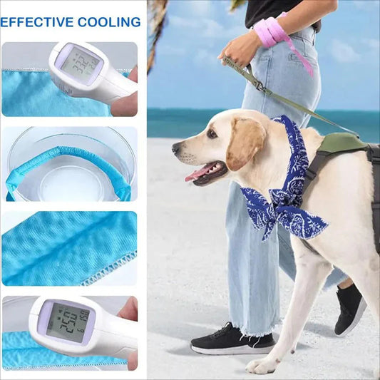 🐶🐱Chladiaca šatka pre domáce zvieratá | Nevyhnutnosť na prevenciu úpalu pri venčení psa vonku❄️