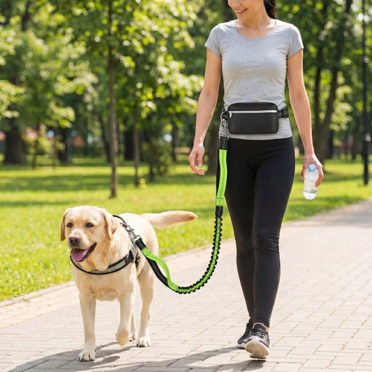 🐕Časovno omejen 50 % popust💨Elastični povodec za namestitev na pas, za uporabo brez rok, za tek in sprehajanje psov, z oblazinjenjem in blaženjem udarcev