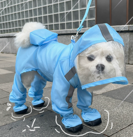 🌧️Nevyhnutná výbava pre malých psov v daždivých dňoch ｜Reflexný a nepremokavý pršiplášť pre domáce zvieratá✨