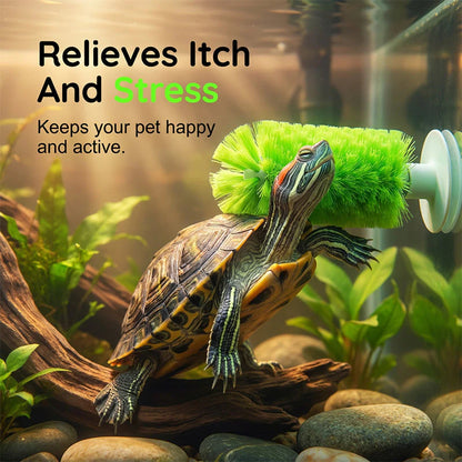 🐢🧼 Kefa na čistenie panciera korytnačiek – vhodná do akvárií ✨