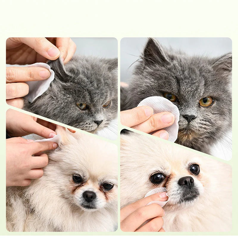 🐾Časno omejen 50 % popust🌿 Robčki za čiščenje oči in ušes hišnih ljubljenčkov, nežne bombažne blazinice z aloe vero za odstranjevanje madežev od solz in ušesnega masla
