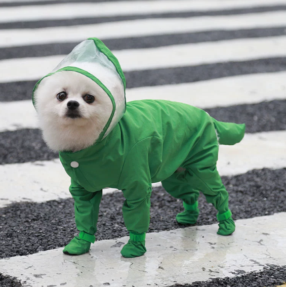 🌧️Nevyhnutná výbava pre malých psov v daždivých dňoch ｜Reflexný a nepremokavý pršiplášť pre domáce zvieratá✨