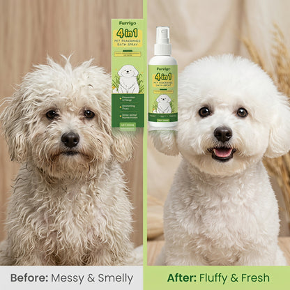 Časovo obmedzená zľava 50 % 🌿 Suchý šampón pre domáce zvieratá 4 v 1 v spreji - zázrak bezvodého čistenia s prírodným rastlinným extraktom 🐶