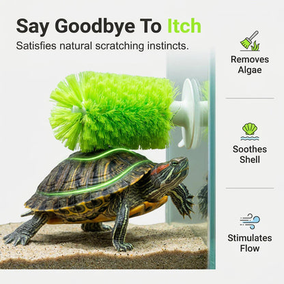 🐢🧼 Kefa na čistenie panciera korytnačiek – vhodná do akvárií ✨