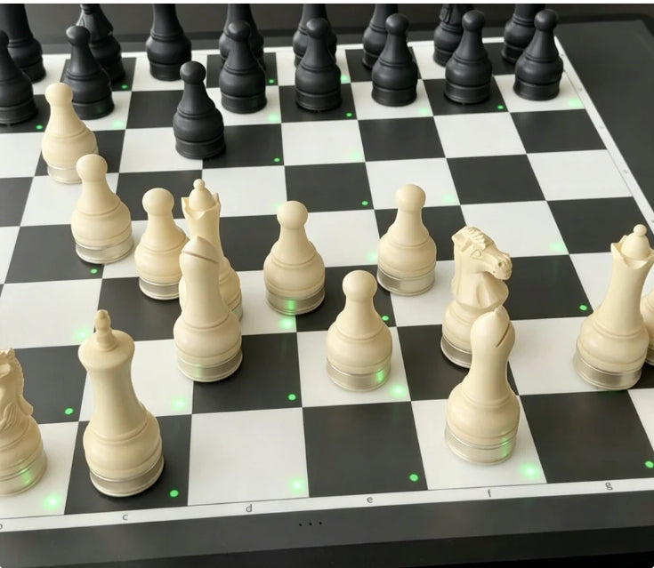🧲Časno omejen 50 % popust♟️ Zložljiva magnetna šahovnica, prenosna šahovnica za zunanjo uporabo, preprečuje padec.
