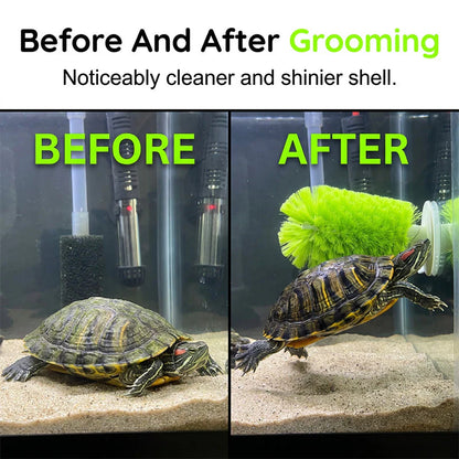 🐢🧼 Kefa na čistenie panciera korytnačiek – vhodná do akvárií ✨