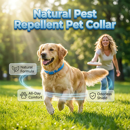 🐱Časovo obmedzená zľava💧Vodotesný obojok proti blchám pre domáce zvieratá, hypoalergénny a nedráždivý vonkajší ochranný obojok na krk🐕