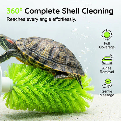 🐢🧼 Kefa na čistenie panciera korytnačiek – vhodná do akvárií ✨