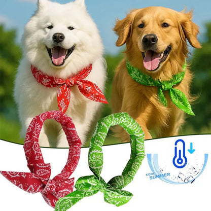 🐶🐱Chladiaca šatka pre domáce zvieratá | Nevyhnutnosť na prevenciu úpalu pri venčení psa vonku❄️