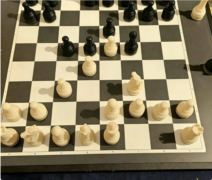 🧲Časno omejen 50 % popust♟️ Zložljiva magnetna šahovnica, prenosna šahovnica za zunanjo uporabo, preprečuje padec.