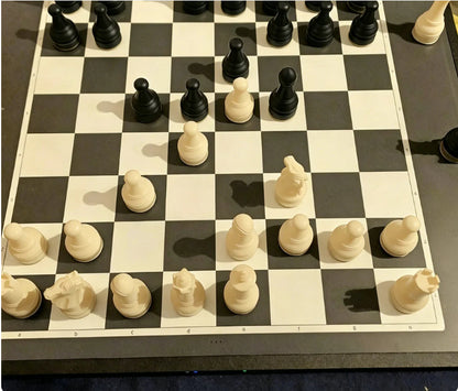 🧲Časno omejen 50 % popust♟️ Zložljiva magnetna šahovnica, prenosna šahovnica za zunanjo uporabo, preprečuje padec.