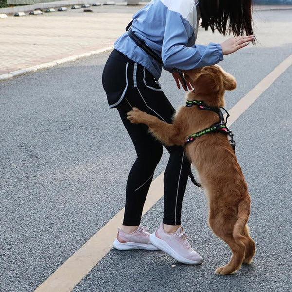 🐕Časovno omejen 50 % popust💨Elastični povodec za namestitev na pas, za uporabo brez rok, za tek in sprehajanje psov, z oblazinjenjem in blaženjem udarcev