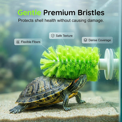 🐢🧼 Kefa na čistenie panciera korytnačiek – vhodná do akvárií ✨